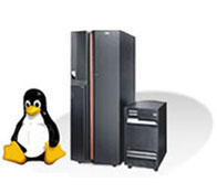 Linux Hosting Nedir?